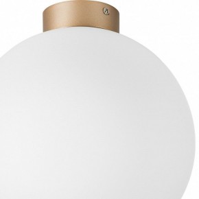 Накладной светильник Lightstar Globo 812033 в Можге - mozhga.mebel24.online | фото 2