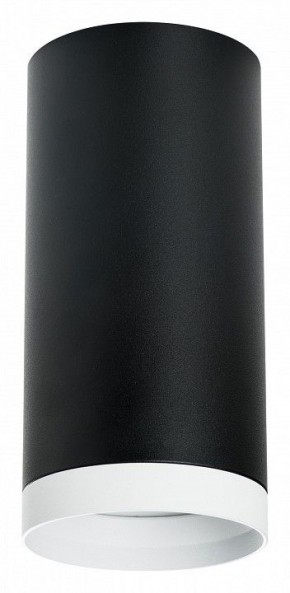 Накладной светильник Lightstar Rullo R64873486 в Можге - mozhga.mebel24.online | фото