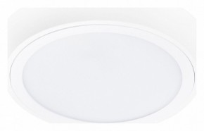 Накладной светильник Lightstar Urbano 216902 в Можге - mozhga.mebel24.online | фото 1