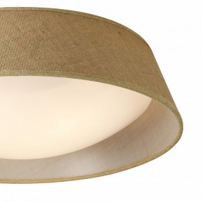 Накладной светильник Mantra Sabina 6413 в Можге - mozhga.mebel24.online | фото 3