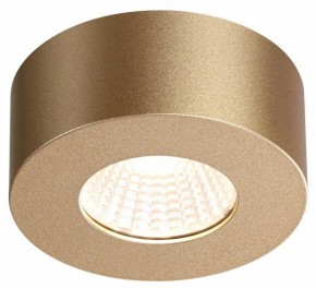 Накладной светильник Odeon Light Bene 4284/7CL в Можге - mozhga.mebel24.online | фото 4