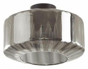 Накладной светильник Odeon Light Binga 4746/1C в Можге - mozhga.mebel24.online | фото 2