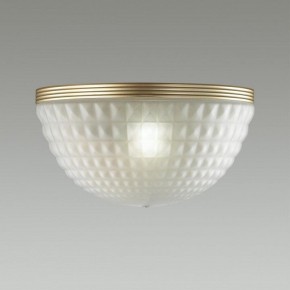 Накладной светильник Odeon Light Malaga 4936/1W в Можге - mozhga.mebel24.online | фото 2