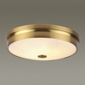 Накладной светильник Odeon Light Marsei 4824/4C в Можге - mozhga.mebel24.online | фото 2