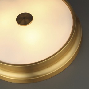 Накладной светильник Odeon Light Marsei 4824/4C в Можге - mozhga.mebel24.online | фото 5