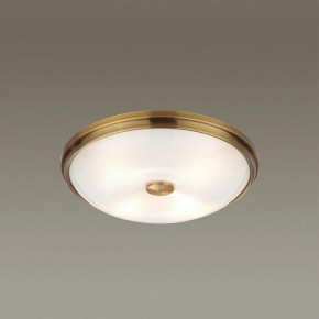 Накладной светильник Odeon Light Pelow 4956/4 в Можге - mozhga.mebel24.online | фото 2