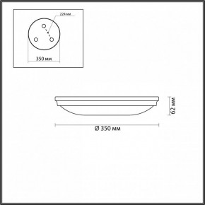 Накладной светильник Odeon Light Pelow 4956/4 в Можге - mozhga.mebel24.online | фото 3
