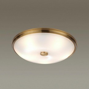 Накладной светильник Odeon Light Pelow 4956/5 в Можге - mozhga.mebel24.online | фото 2