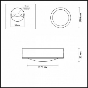 Накладной светильник Odeon Light Reus 4342/7CL в Можге - mozhga.mebel24.online | фото 4