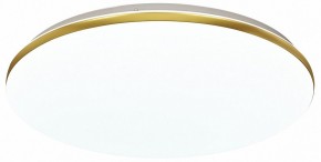 Накладной светильник Sonex Lassa 3043/DL в Можге - mozhga.mebel24.online | фото 2