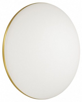 Накладной светильник Sonex Lassa 3043/DL в Можге - mozhga.mebel24.online | фото 4