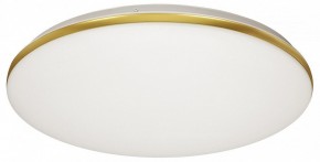 Накладной светильник Sonex Lassa 3043/DL в Можге - mozhga.mebel24.online | фото 5