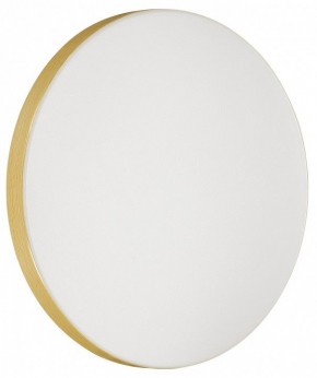 Накладной светильник Sonex Smalli 3066/AL в Можге - mozhga.mebel24.online | фото 2