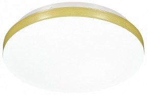 Накладной светильник Sonex Smalli 3066/AL в Можге - mozhga.mebel24.online | фото 4