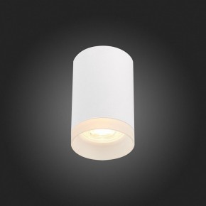 Накладной светильник ST-Luce ST100 ST100.502.01 в Можге - mozhga.mebel24.online | фото 4