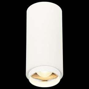 Накладной светильник ST-Luce Zoom ST600.532.10 в Можге - mozhga.mebel24.online | фото 4