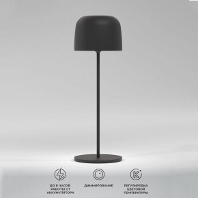 Настольная лампа декоративная Elektrostandard Bitty a069002 в Можге - mozhga.mebel24.online | фото 2