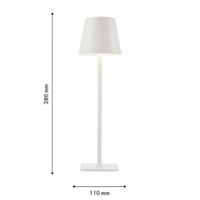 Настольная лампа декоративная F-promo Pyari 4614-1T в Можге - mozhga.mebel24.online | фото 3