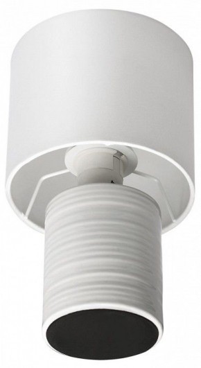 Настольная лампа декоративная Lumion Tuala 8144/1Т в Можге - mozhga.mebel24.online | фото 3