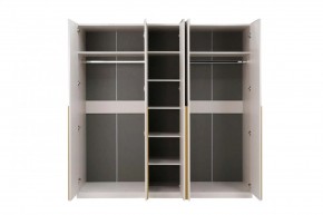 НИКОЛЬ 25 Шкаф 5-ти створчатый в Можге - mozhga.mebel24.online | фото 3