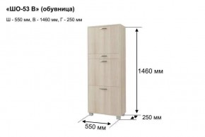 ШО-53 В тумба для обуви в Можге - mozhga.mebel24.online | фото 8