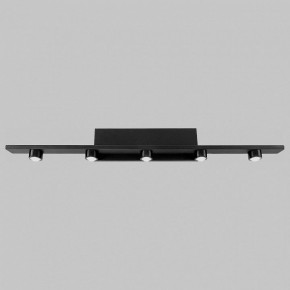Подсветка для картины Imex VINCENT IL.0040.0050-5 SBK в Можге - mozhga.mebel24.online | фото