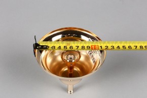 Подвесная люстра Aployt Daniele APL.701.03.12 в Можге - mozhga.mebel24.online | фото 6