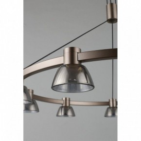 Подвесная люстра Aployt Rezeda APL.788.03.09 в Можге - mozhga.mebel24.online | фото 14