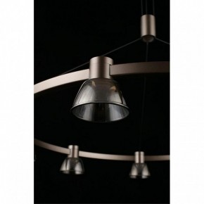 Подвесная люстра Aployt Rezeda APL.788.03.09 в Можге - mozhga.mebel24.online | фото 16