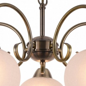 Подвесная люстра Arte Lamp Margo A9317LM-5AB в Можге - mozhga.mebel24.online | фото 4