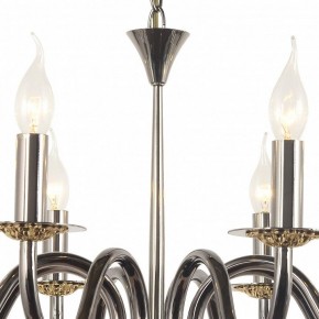 Подвесная люстра Arti Lampadari Pontone Pontone E 1.1.8 PB в Можге - mozhga.mebel24.online | фото 3