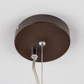 Подвесная люстра Citilux Форма CL428241 в Можге - mozhga.mebel24.online | фото 15