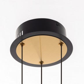 Подвесная люстра Citilux HELLY CL211042 в Можге - mozhga.mebel24.online | фото 11