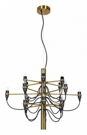 Подвесная люстра Divinare Molto 8030/17 LM-18 в Можге - mozhga.mebel24.online | фото 2