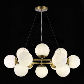 Подвесная люстра EVOLUCE Fratta SLE1191-203-12 в Можге - mozhga.mebel24.online | фото 4