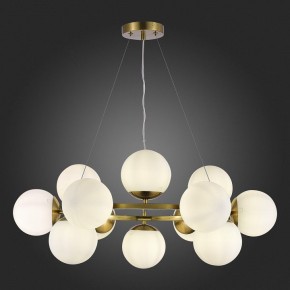 Подвесная люстра EVOLUCE Fratta SLE1191-203-12 в Можге - mozhga.mebel24.online | фото 5