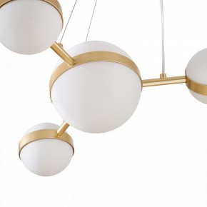 Подвесная люстра Favourite Asterismo 4448-6P в Можге - mozhga.mebel24.online | фото 7