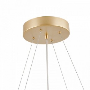 Подвесная люстра Favourite Asterismo 4448-8P в Можге - mozhga.mebel24.online | фото 8