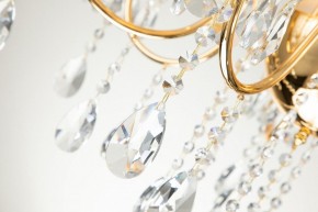 Подвесная люстра Favourite Cutie 2868-7P в Можге - mozhga.mebel24.online | фото 6