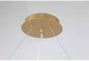 Подвесная люстра Favourite Ginkoa 4080-10P в Можге - mozhga.mebel24.online | фото 9