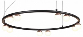 Подвесная люстра Favourite Knopp 4320-10P в Можге - mozhga.mebel24.online | фото