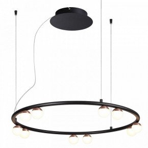 Подвесная люстра Favourite Knopp 4320-10P в Можге - mozhga.mebel24.online | фото 2