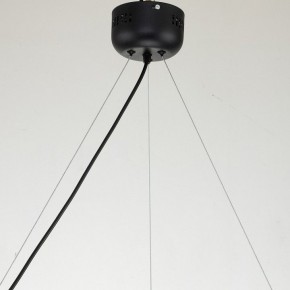Подвесная люстра Favourite Light point 2997-6P в Можге - mozhga.mebel24.online | фото 11