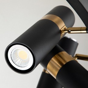 Подвесная люстра Favourite Light point 2997-9P в Можге - mozhga.mebel24.online | фото 5