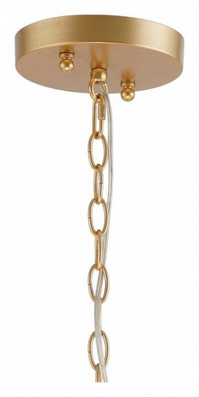Подвесная люстра Favourite Mateo 2634-8P в Можге - mozhga.mebel24.online | фото 12