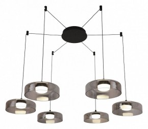 Подвесная люстра Favourite Platta 4490-6P в Можге - mozhga.mebel24.online | фото