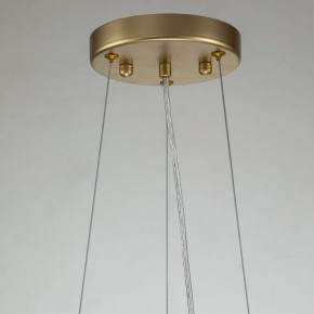 Подвесная люстра Favourite Rays 4058-14P в Можге - mozhga.mebel24.online | фото 11