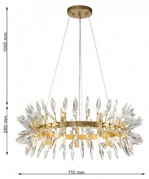 Подвесная люстра Favourite Rays 4058-14P в Можге - mozhga.mebel24.online | фото 7