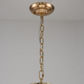 Подвесная люстра Favourite Rocca 2689-9P в Можге - mozhga.mebel24.online | фото 2