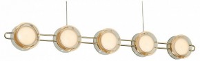 Подвесная люстра Favourite Yo-yo 4334-10P в Можге - mozhga.mebel24.online | фото